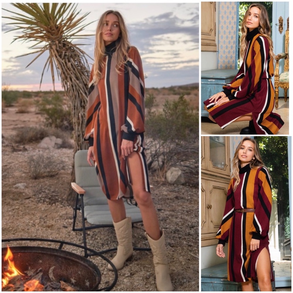 NWT Erie Retro Boho Striped Earthy Turtleneck Sweater Dress